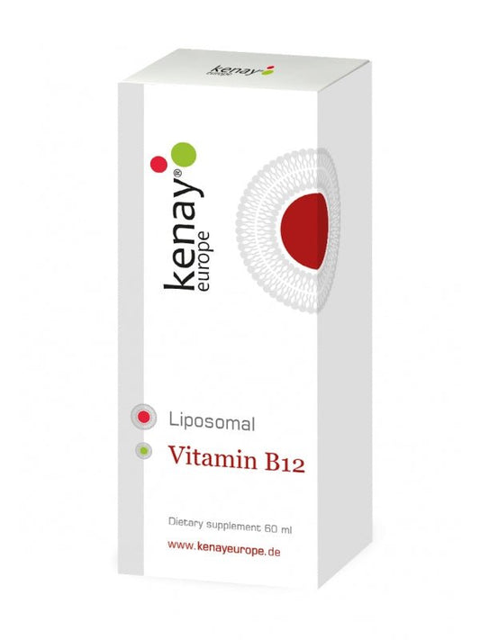 Vitaminas B12 Liposominis (60 ml) CureSupport kaina